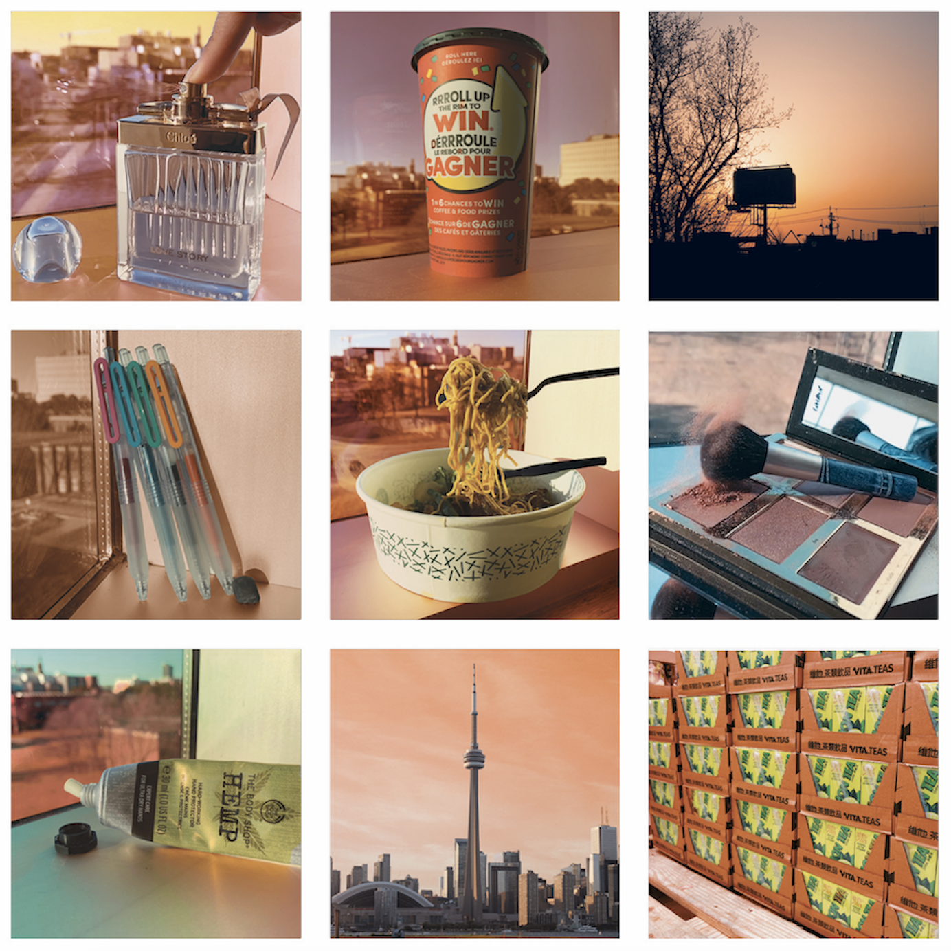 Self-reflection Grid Photograph Edits